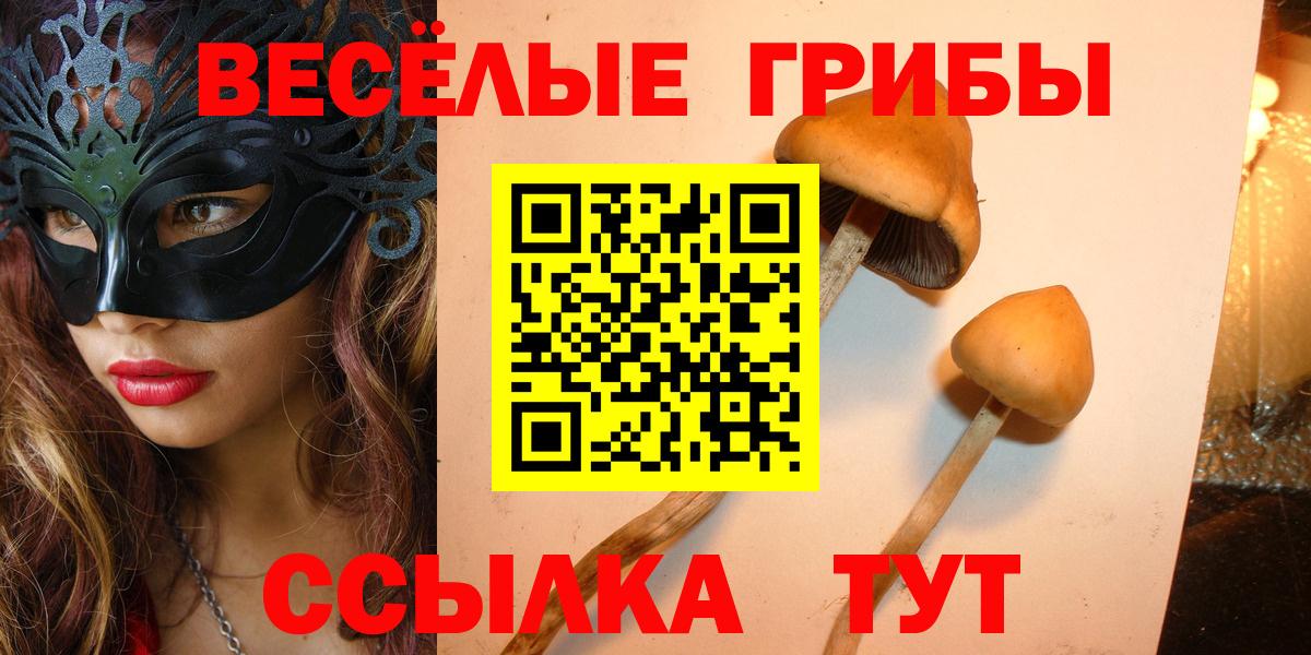Псилоцибиновые грибы мухоморы Партизанск